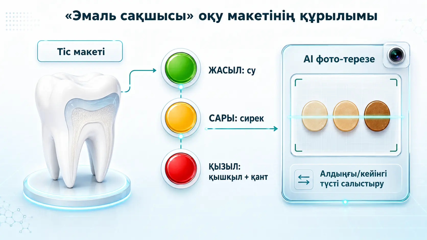 Эмаль сақшысы макетінің сызбасы